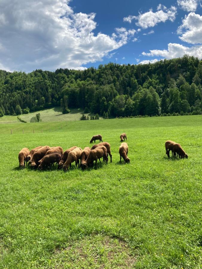 Haus Haslach Elsbethen エクステリア 写真