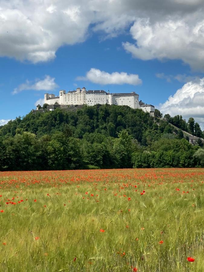 Haus Haslach Elsbethen エクステリア 写真