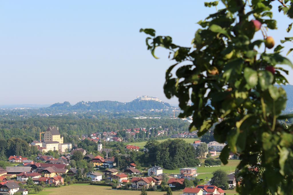 Haus Haslach Elsbethen 部屋 写真